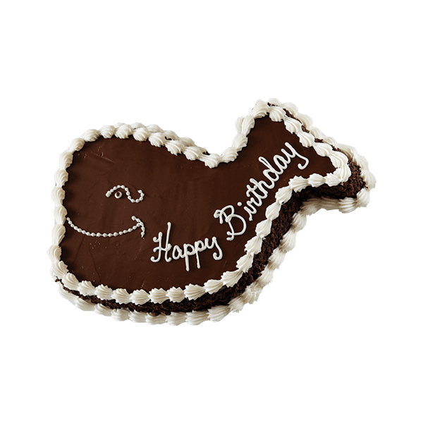 fudgie the whale ice cream cake