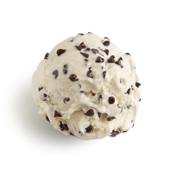 Chocolate Chip Ice Cream Scooped