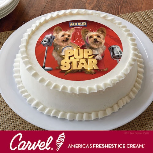 air bud cake